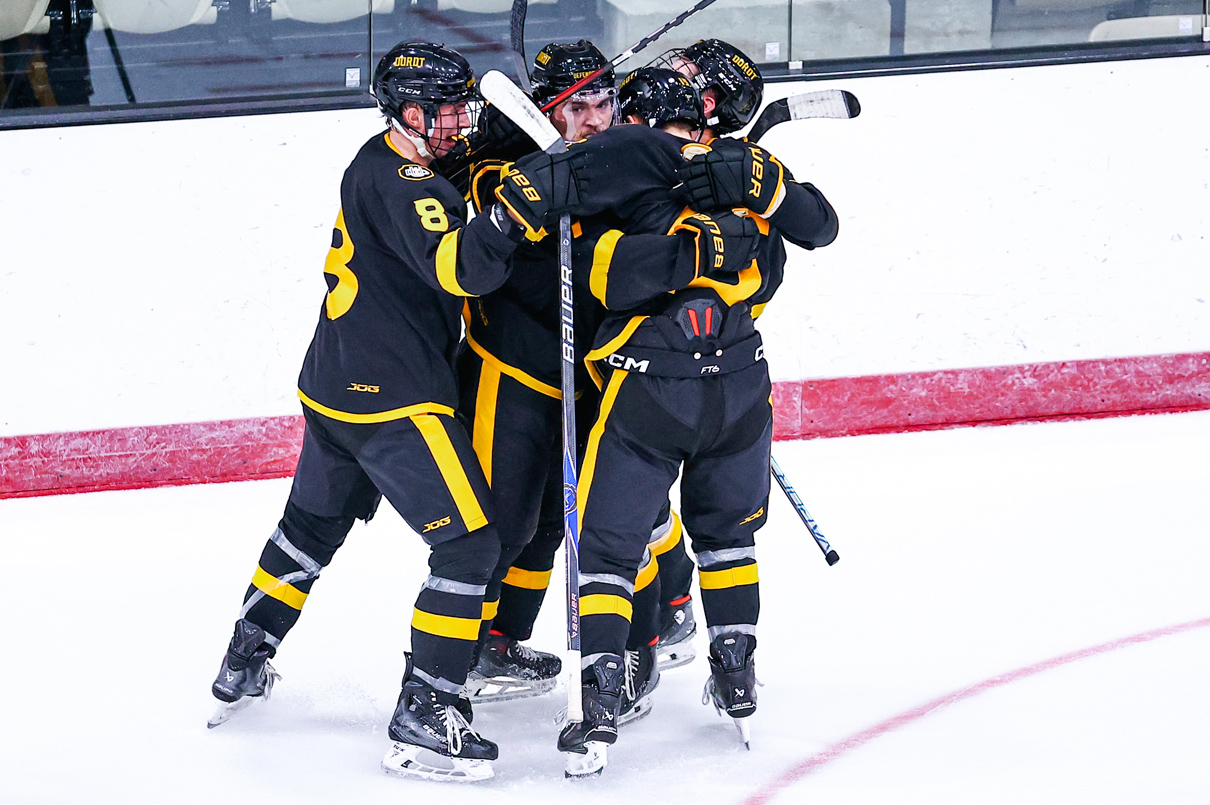 Defender Hockey photo